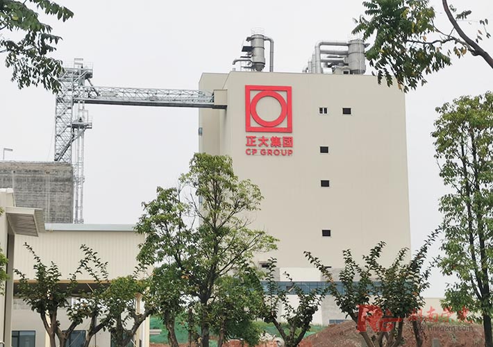 L(zhng)ɳ󼯈F(tun)V LED¶l(f)ְbʩ